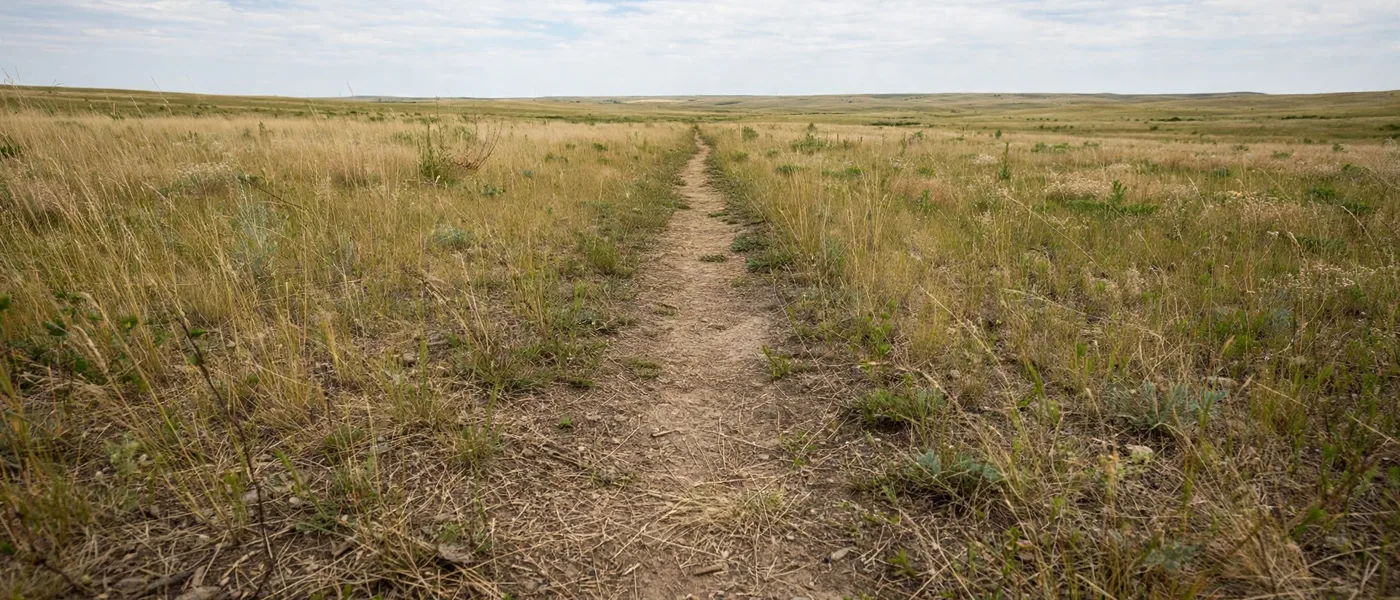 Flat walking trail through open grassland under a wide sky